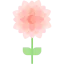 Flower 图标 64x64