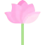 Flower 图标 64x64