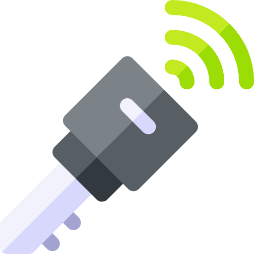 Smart key icon