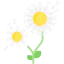 Flower 图标 64x64
