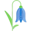 Flower 图标 64x64