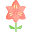 Flower 图标 64x64