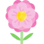 Flower 图标 64x64
