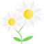 Flower 图标 64x64
