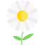 Flower 图标 64x64