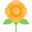 Flower 图标 64x64
