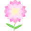 Flower 图标 64x64