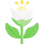 Flower 图标 64x64