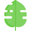 Leaf 图标 64x64
