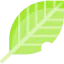 Leaf 图标 64x64
