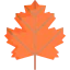 Maple leaf 图标 64x64