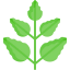 Leaf 图标 64x64