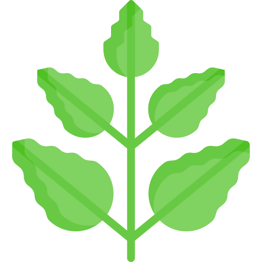 Leaf icon