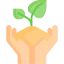 Sprout icon 64x64