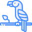 Parrot 图标 64x64