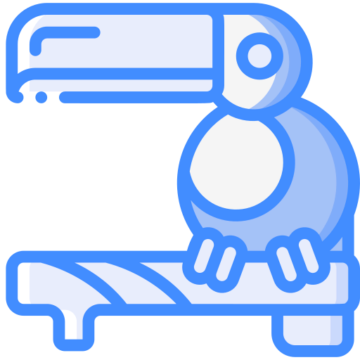 Toucan icon