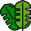 Leaf 图标 64x64