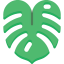 Leaf 图标 64x64