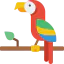 Parrot 图标 64x64