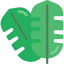 Leaf 图标 64x64