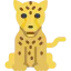 Cheetah 图标 64x64