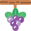 Berries 图标 64x64