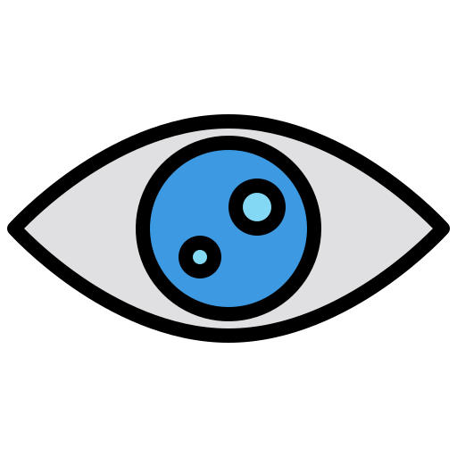 Vision icon