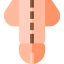 Penis icon 64x64