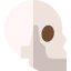 Skull icon 64x64