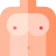 Breast icon 64x64