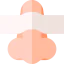 Nose icon 64x64