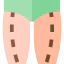 Legs icon 64x64