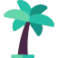 Date palm icon 64x64
