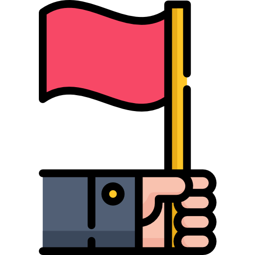 Flag icon