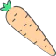 Carrot icon 64x64