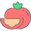 Tomato icon 64x64