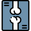 X ray icon 64x64