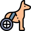 Dog icon 64x64