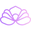 Blossom icon 64x64
