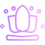Lotus icon 64x64