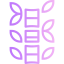Bamboo icon 64x64