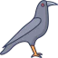 Crow icon 64x64