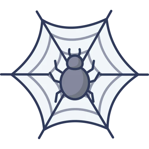 Cobweb icon