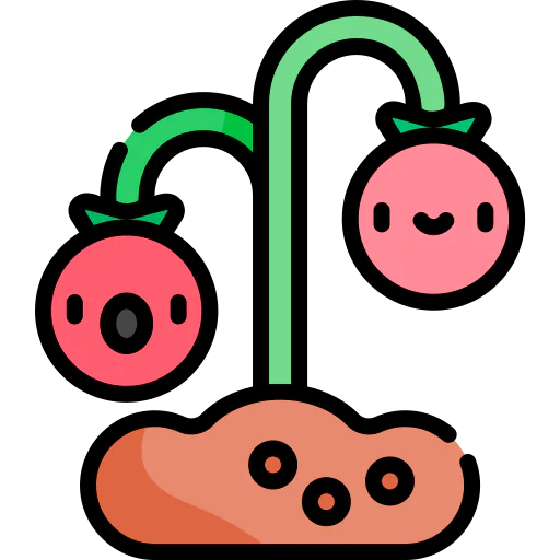 Tomato icon