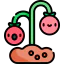 Tomato 图标 64x64