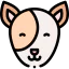 Dog アイコン 64x64