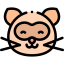 Ferret アイコン 64x64