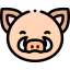 Wild boar アイコン 64x64