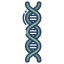 Dna ícono 64x64