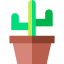 Cactus biểu tượng 64x64